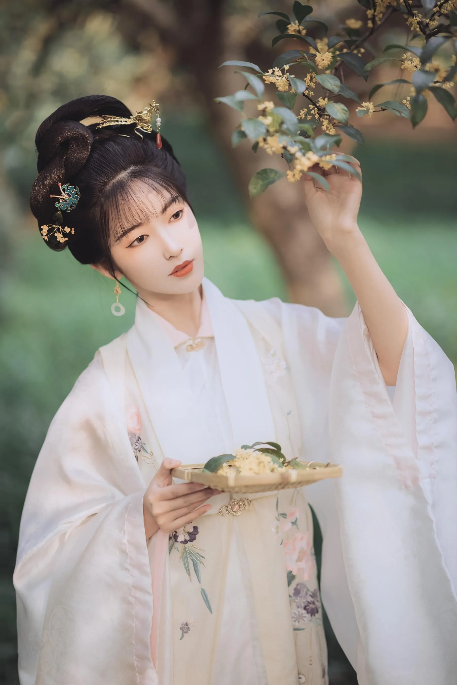 [YITUYU艺图语]2021.11.22 桂花酿 一只阿梦崽 [36P]插图1